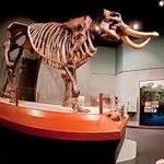 Museum of Florida History