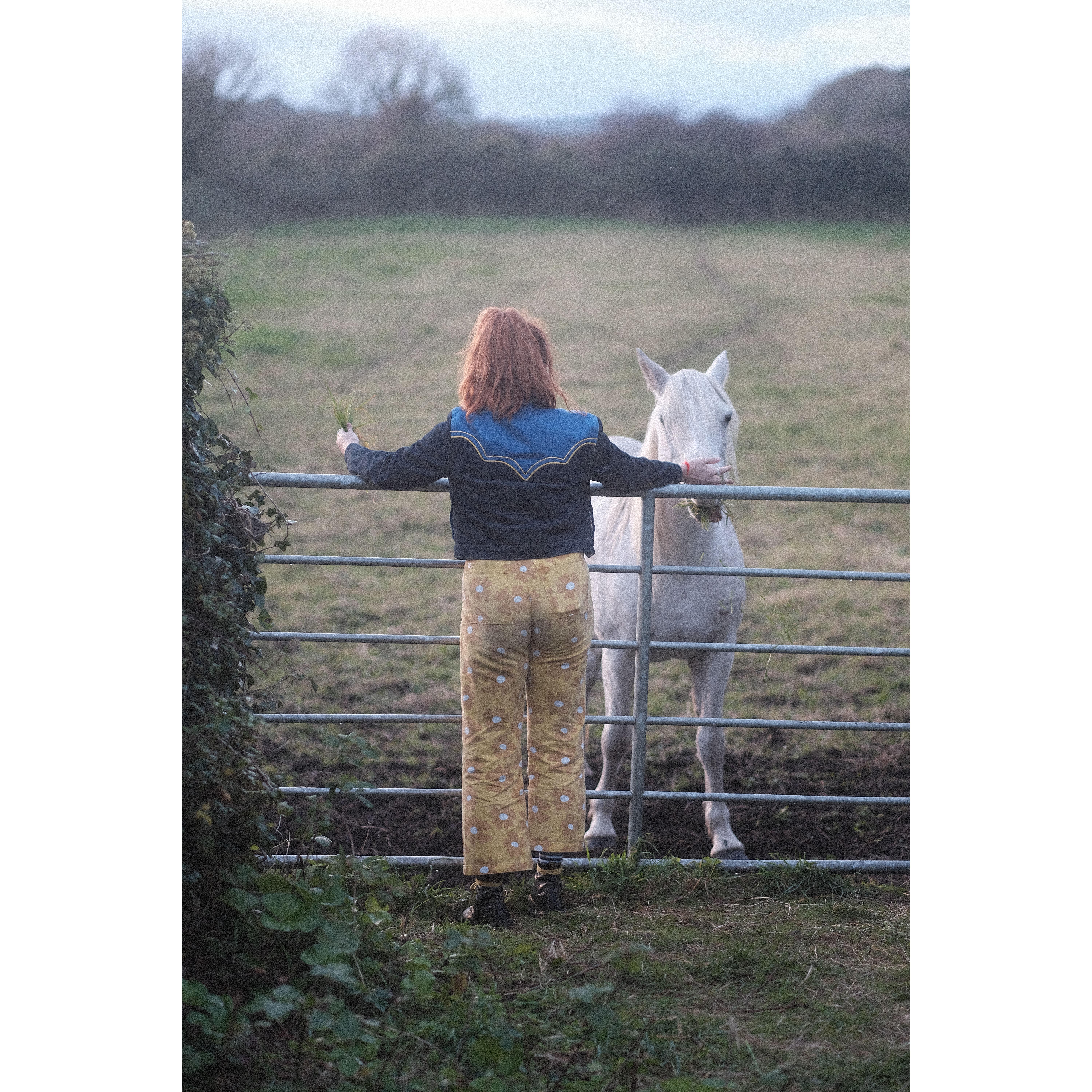 Mere meeting a horse on an excursion to an abandoned castle in Galway