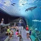 Kansas City Zoo & Aquarium