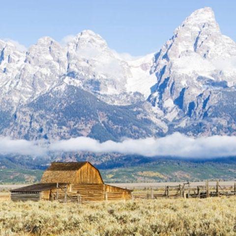 Mormon Row