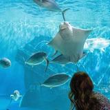 Jenkinson's Aquarium