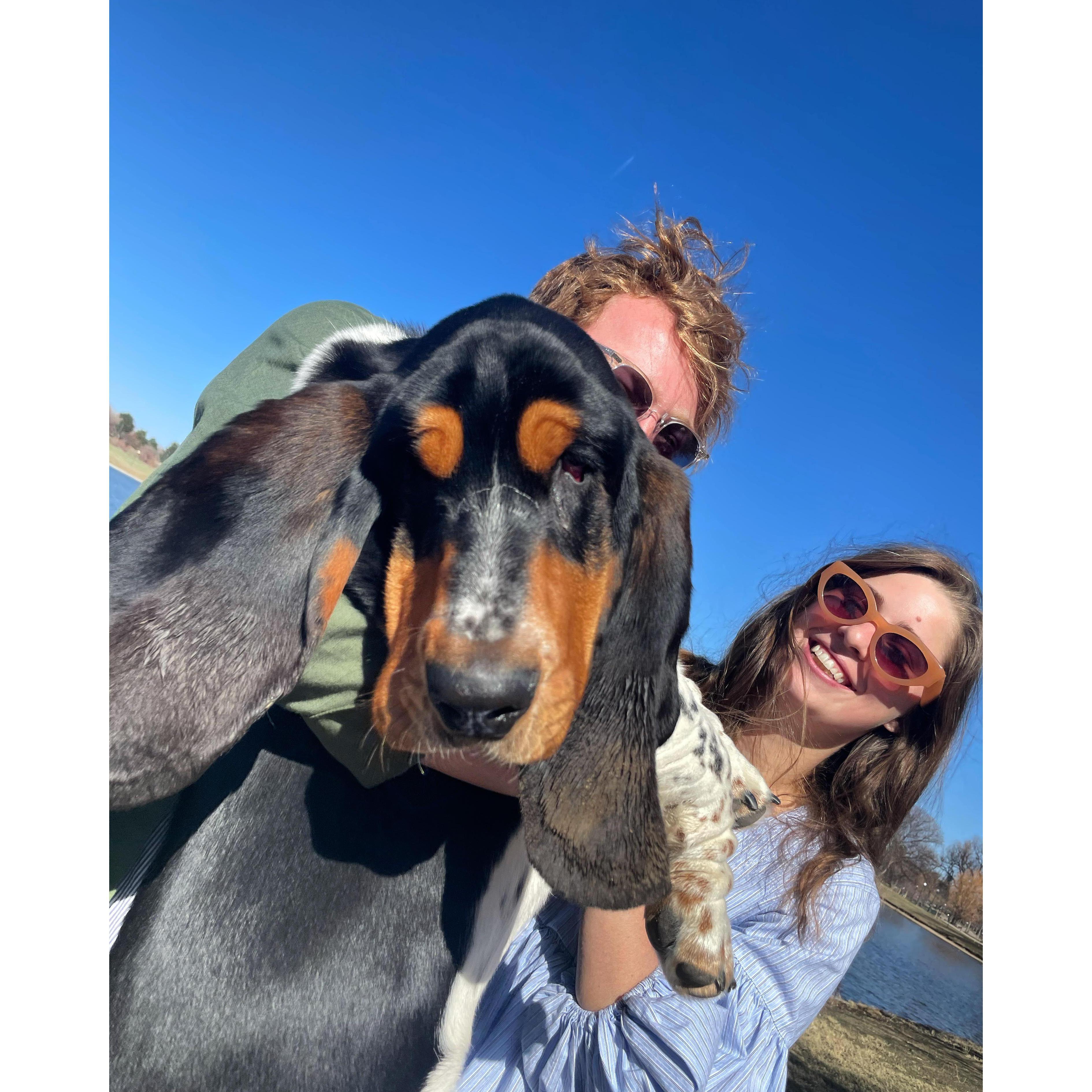 Our Baloo will be so missed at the wedding!