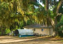 Bradfordville Blues Club