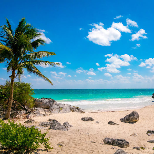 Extra Honeymoon Excursions!