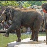 Denver Zoo