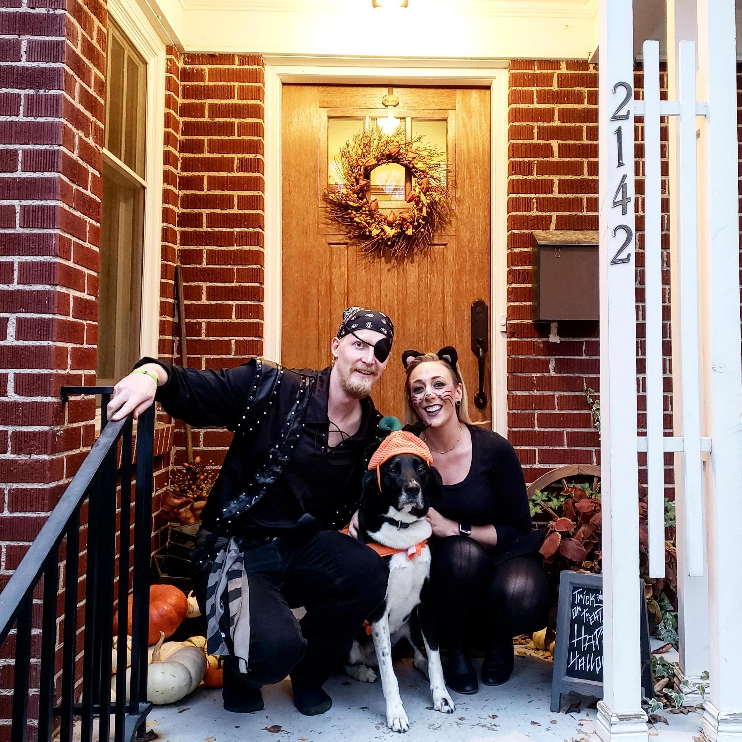 We love Halloween and coming up with fun costumes to include our puppy(s) even though they clearly hate it...