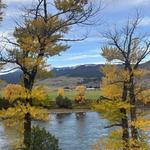 Yellowstone