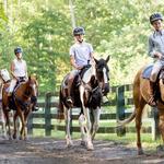 Horseback Riding