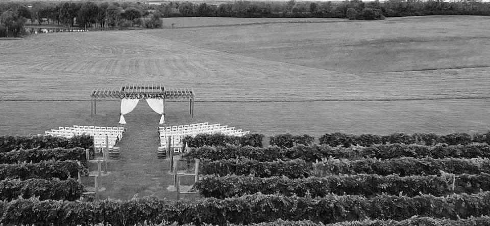 The Wedding Website of Allison Cooke and Emma McClure
