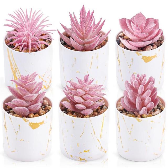 Der Rose 6 Pack Fake Plants Succulents Plants Artificial for Bathroom Home Office Desk Accessories for Women