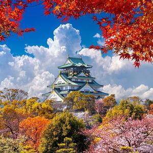 honeymoon - 4 nights in osaka