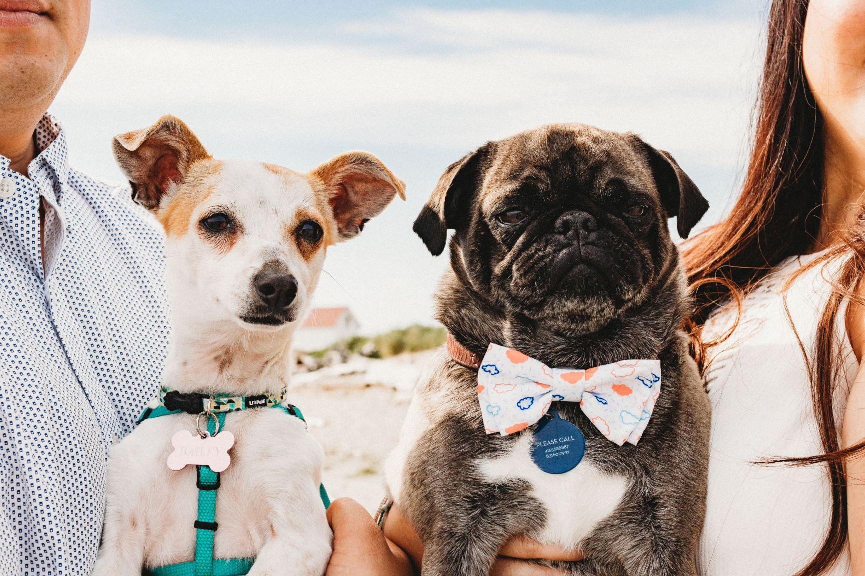 The Wedding Website of Peishia Liu and Kristopher Sako