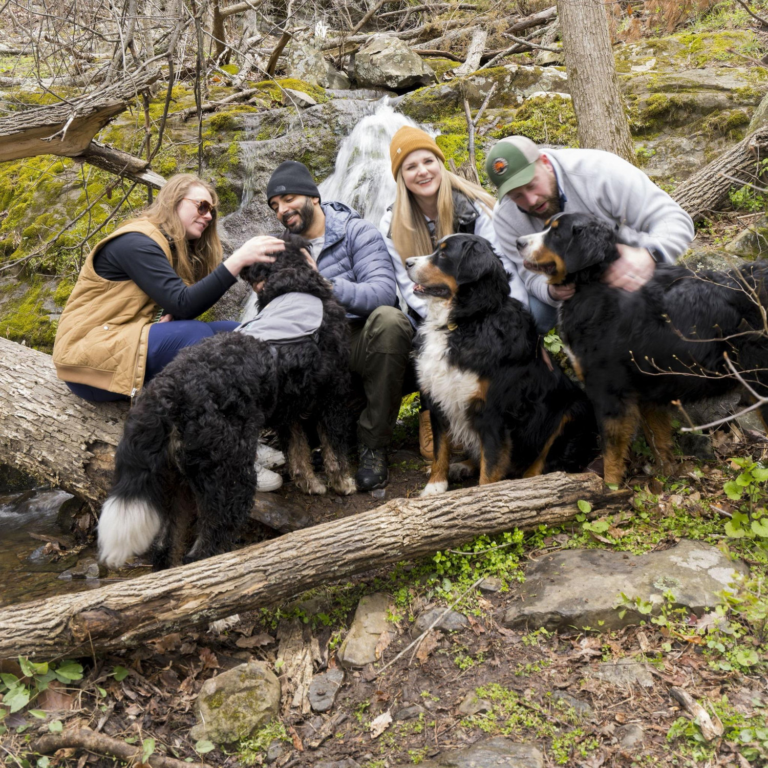 Weekend cabin trip with the Berners