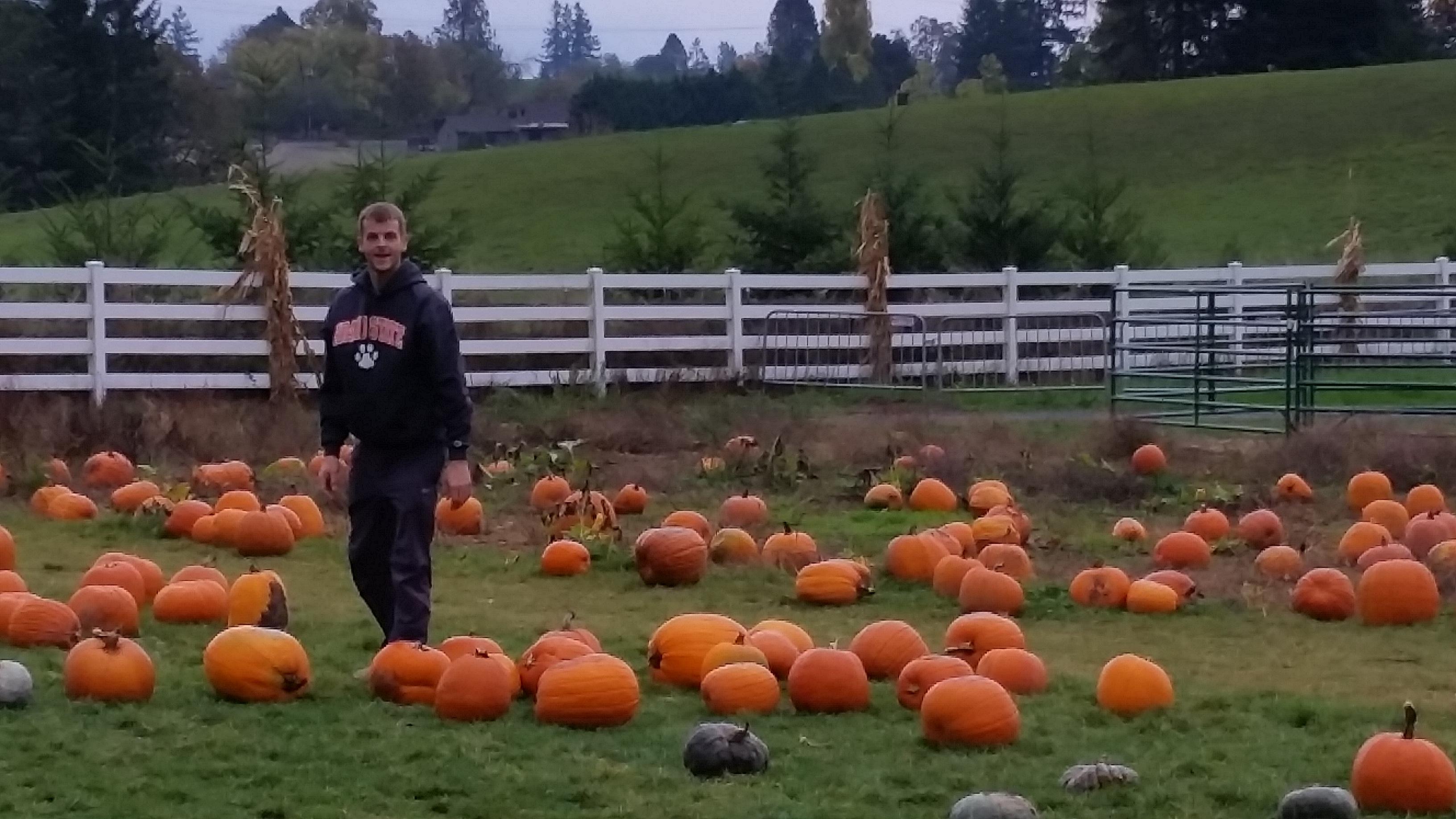 The pumpkin patch!