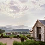 Pippin Hill Farm & Vineyards