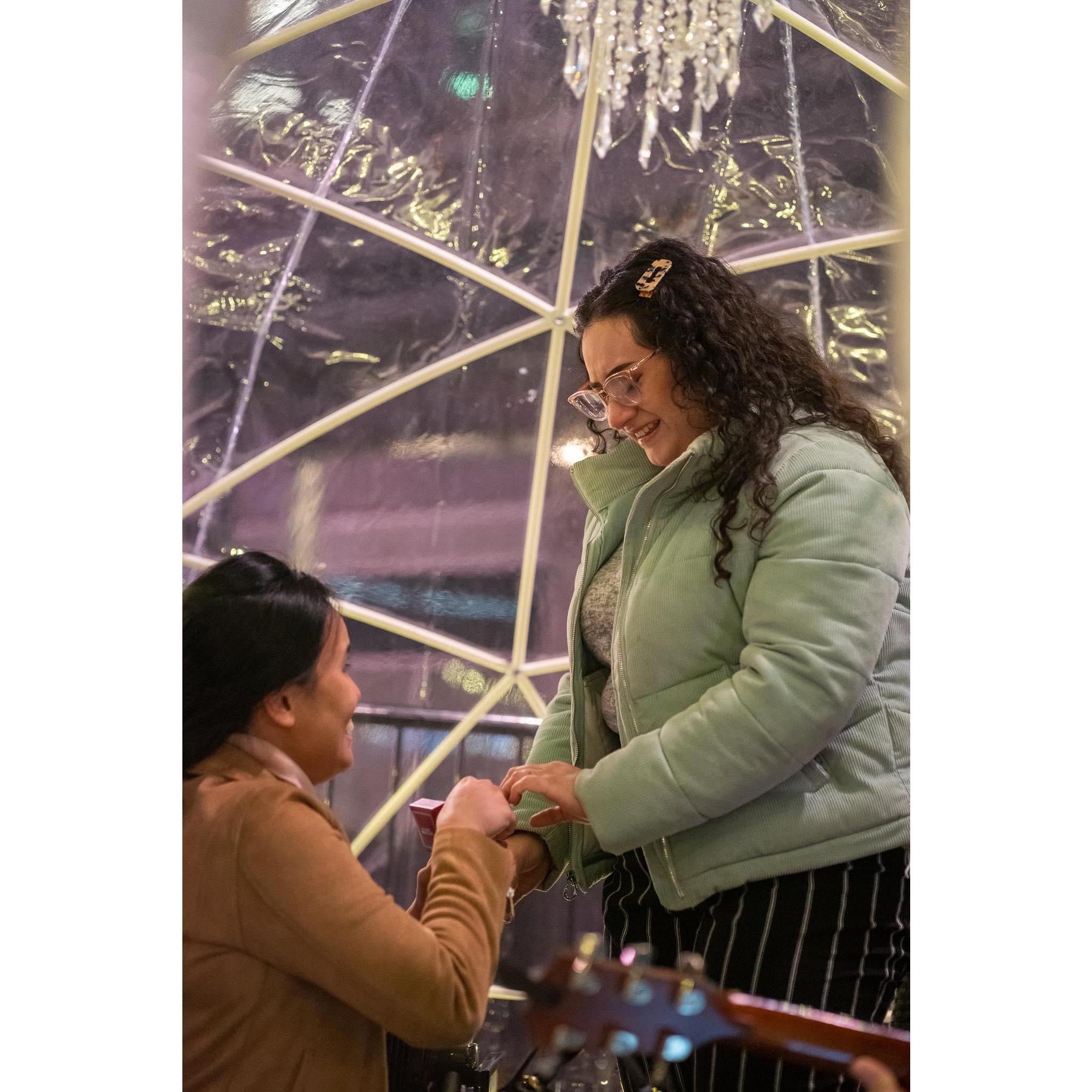 Paula's proposal