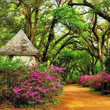 Saint Francisville