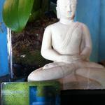 Blu Bamboo Salon & Day Spa