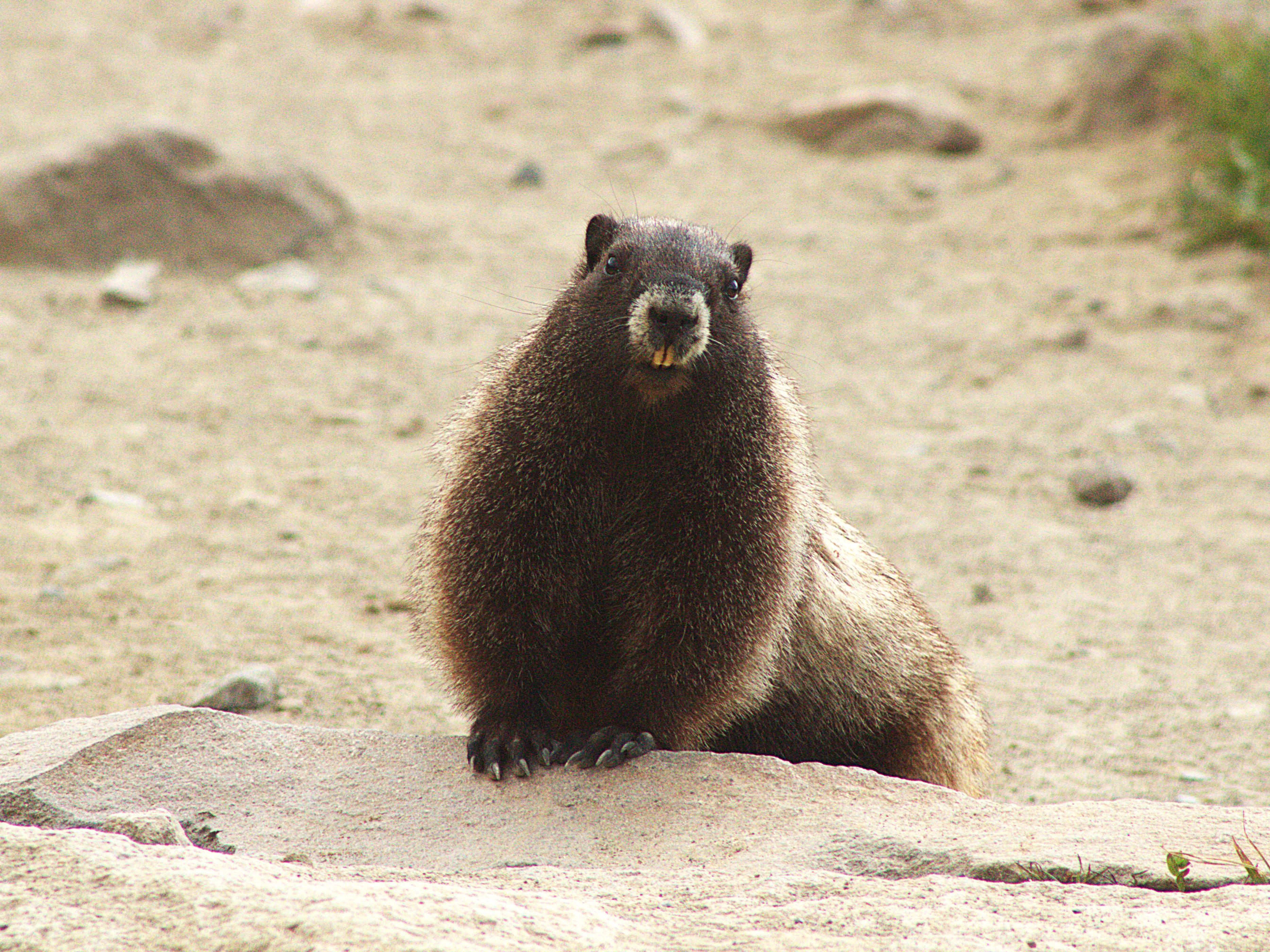 The Wedding Website of Stephanie Strothers and Eric Hill