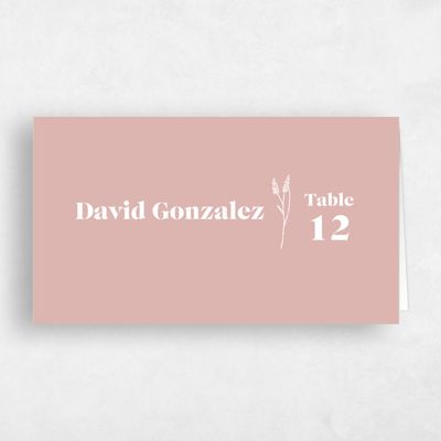 Pink Dust Wedding Place Card - Sylvan