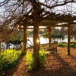 Cornell Lab of Ornithology