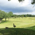Squaw Valley Golf Course