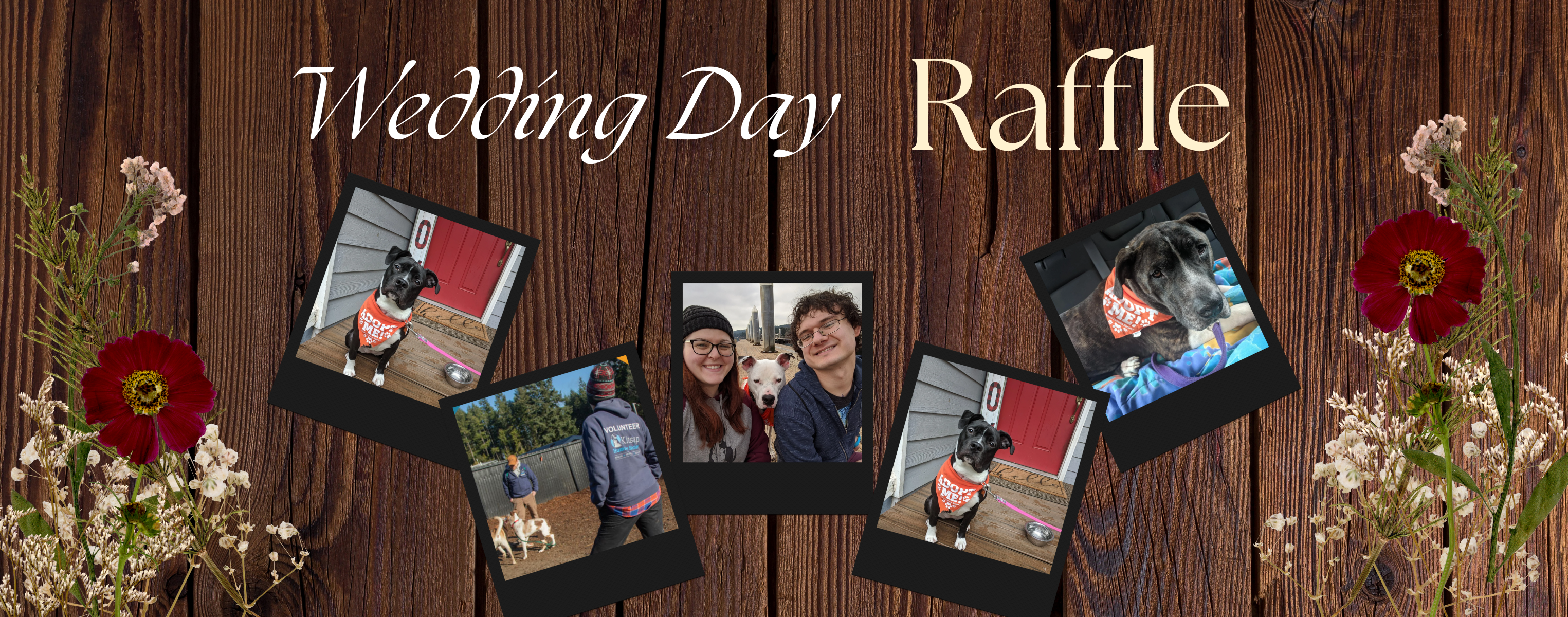 The Wedding Website of Nicole Swatek and Nathan Hicks