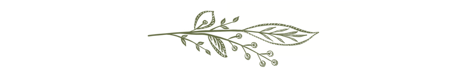 The Wedding Website of Hannah Abram and Christopher Goode