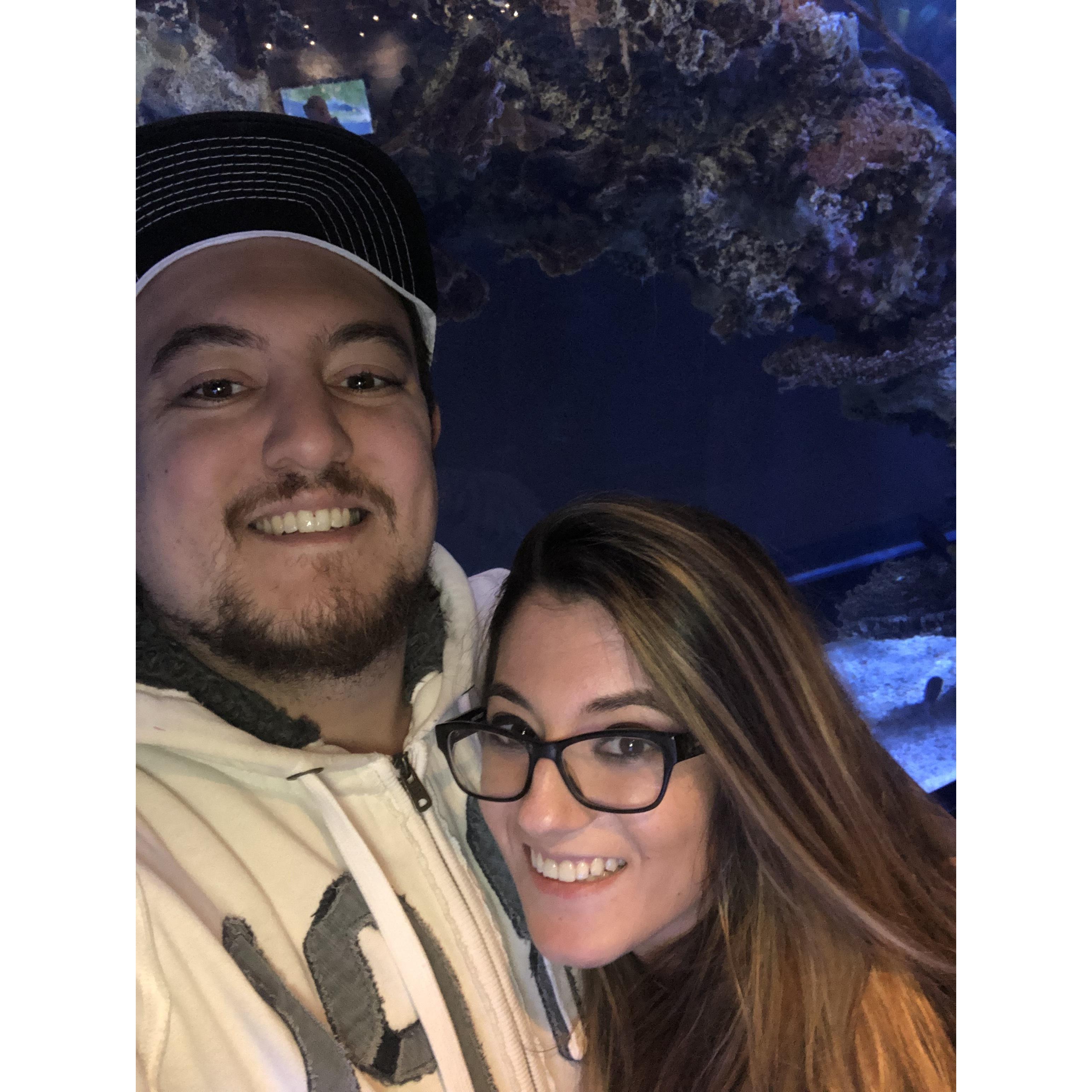 Mystic Aquarium