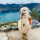 Laguna de Quilotoa
