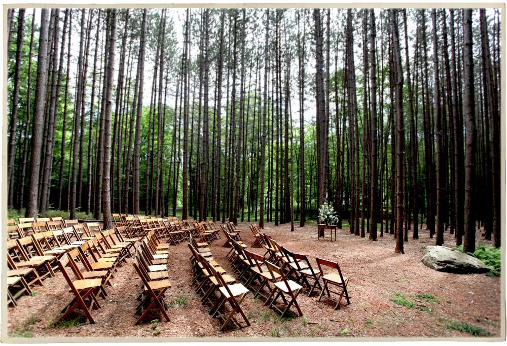 The Wedding Website of Paul Doscher and Cindy Henderson
