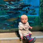 Great Lakes Aquarium