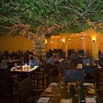 Bistro Garden Dgo