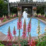 Sherman Library & Gardens