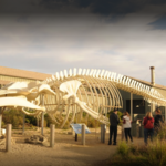 Seymour Marine Discovery Center