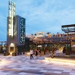 City Vineyard