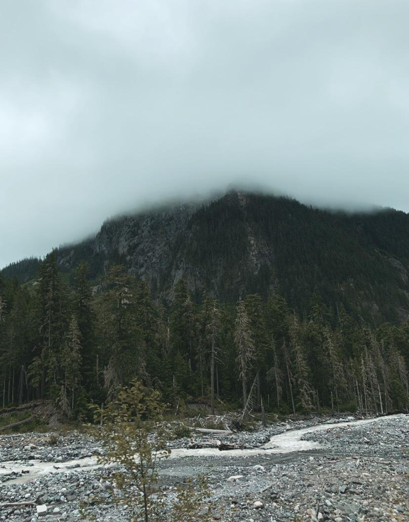 Mt Rainier National Park