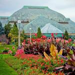 Lincoln Park Conservatory