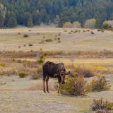 Rocky Mountain National Park