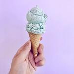KOKOS® Ice Cream Scoop Shop OneC1TY