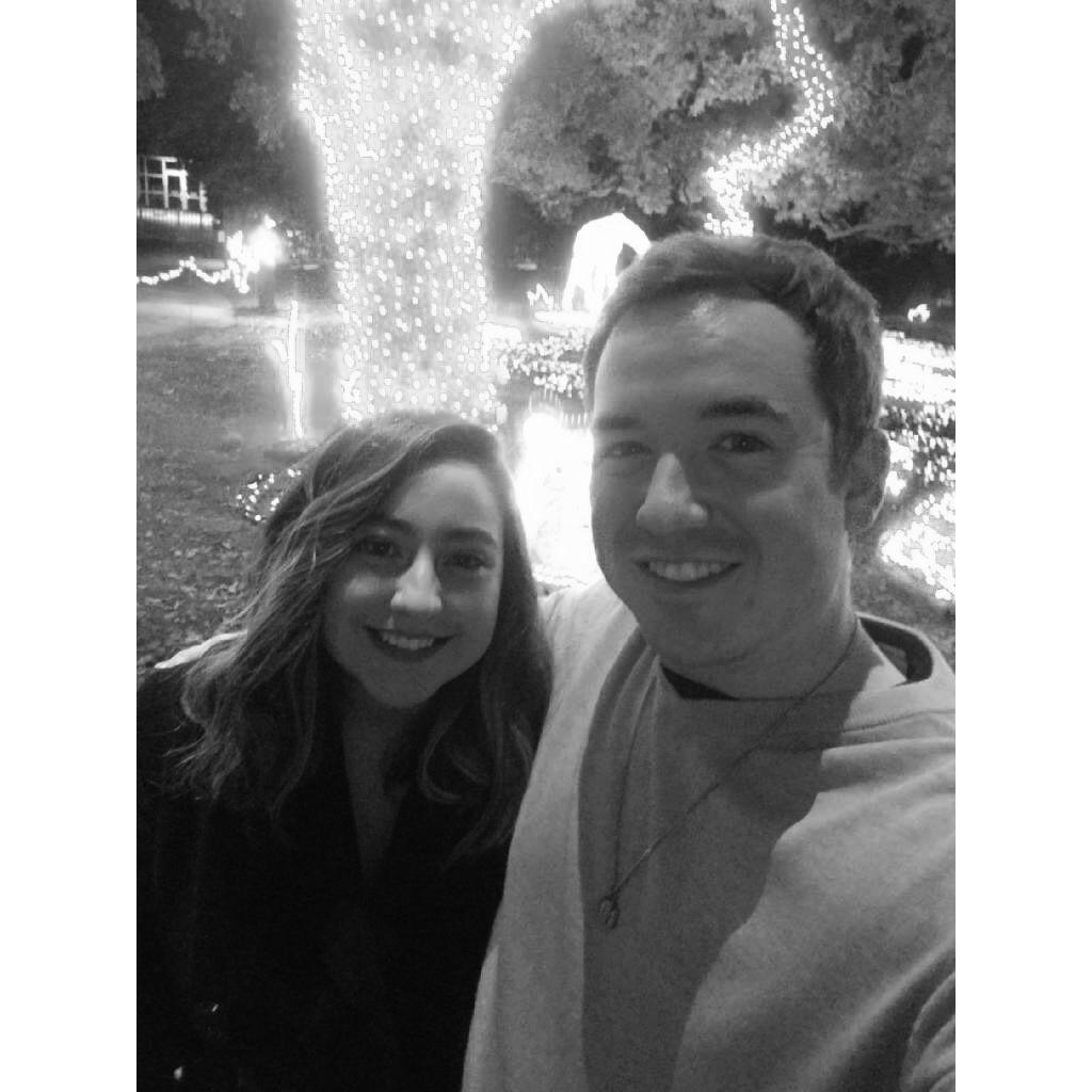 Zoo Lights in 2019