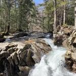The Basin