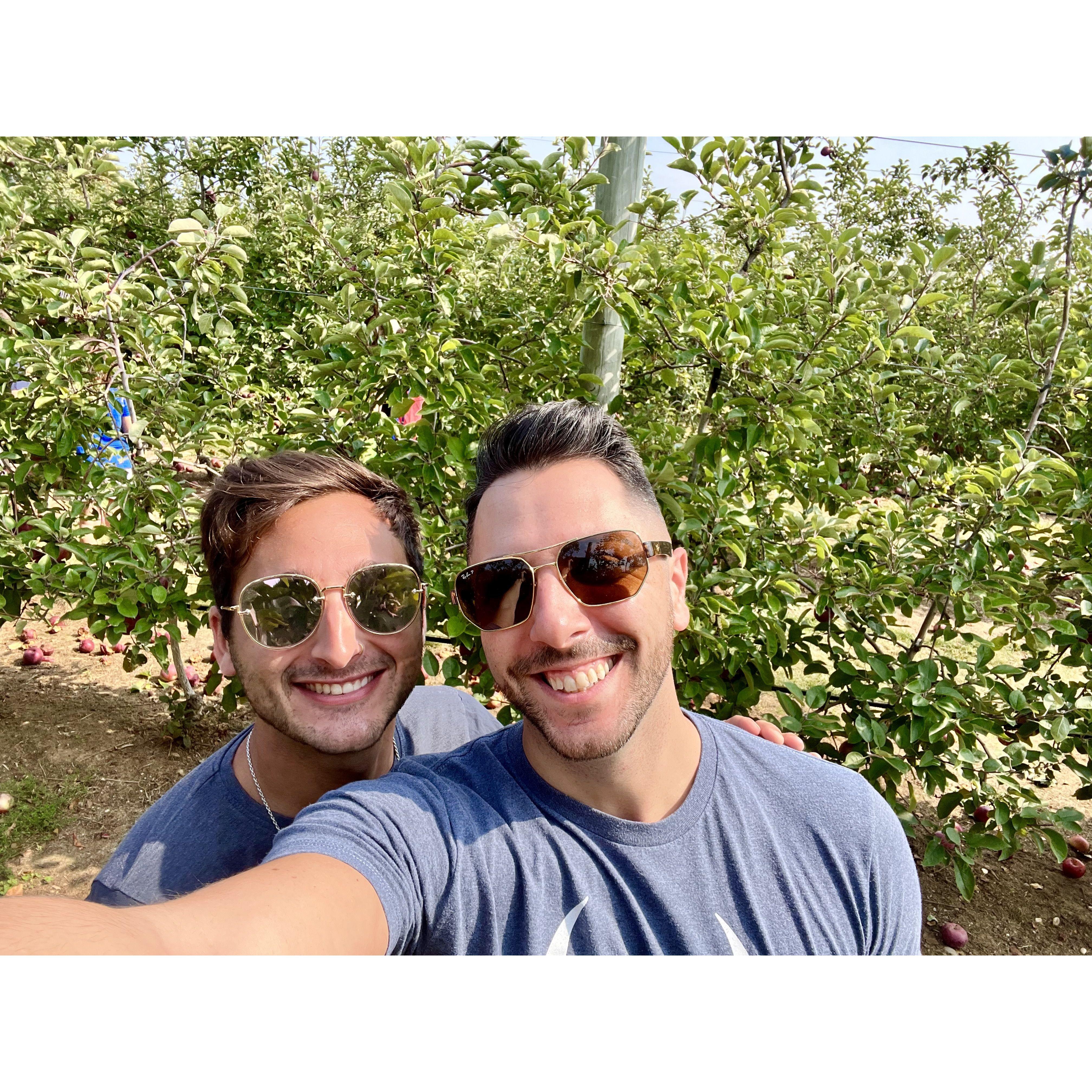 Autumn Apple Picking