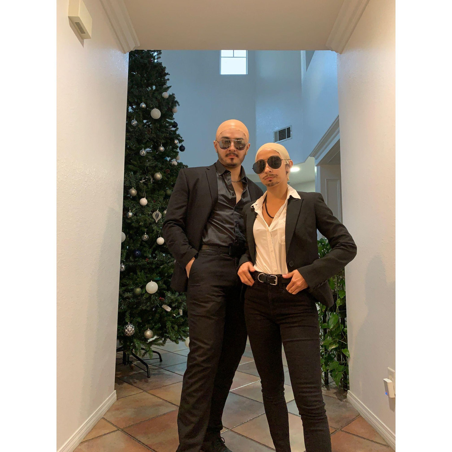 Pitbull Concert 2023