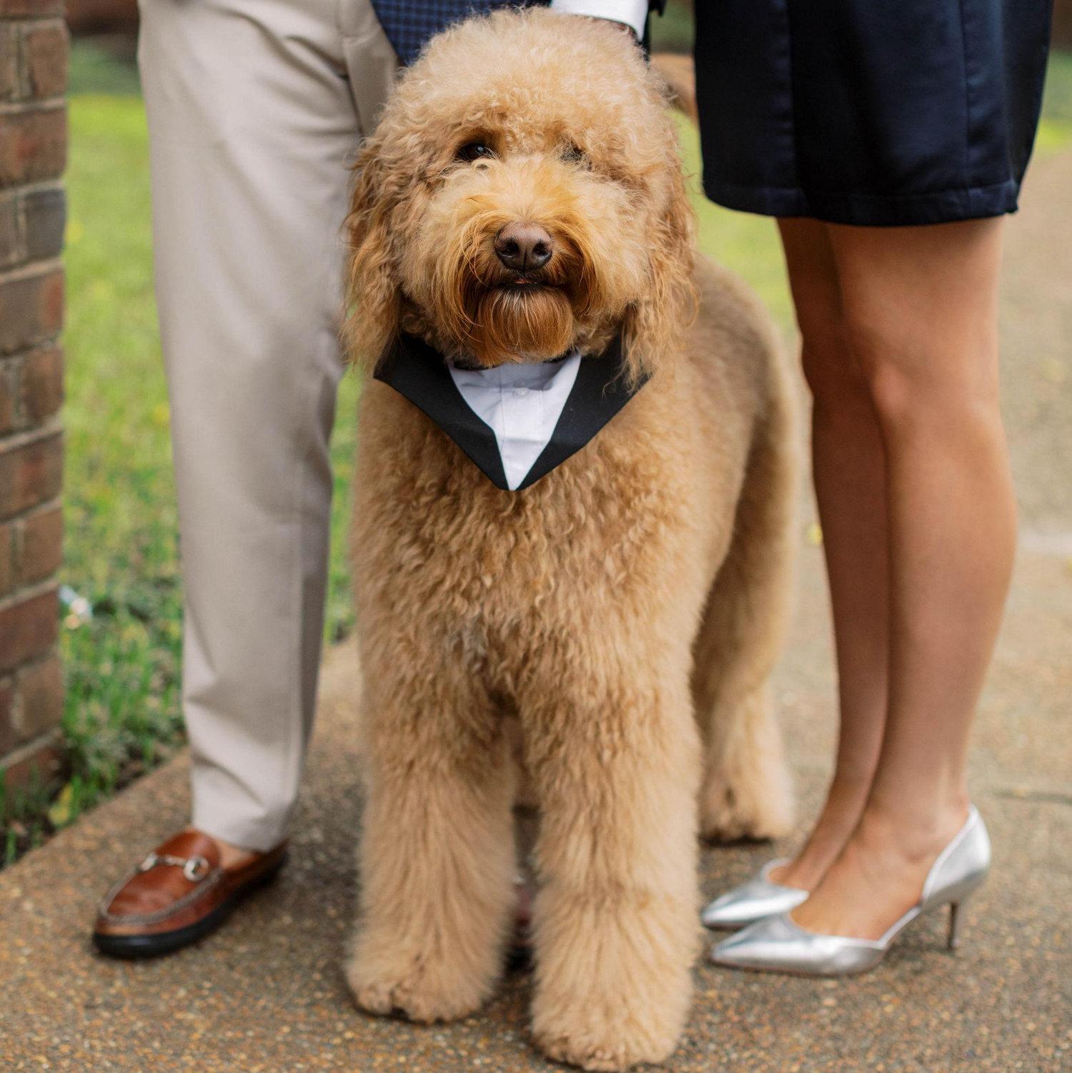 Teddy hopes you’ll try “The Teddy” speciality cocktail at our reception!