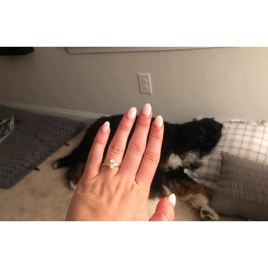 Chip helped Daddy propose to Mommy