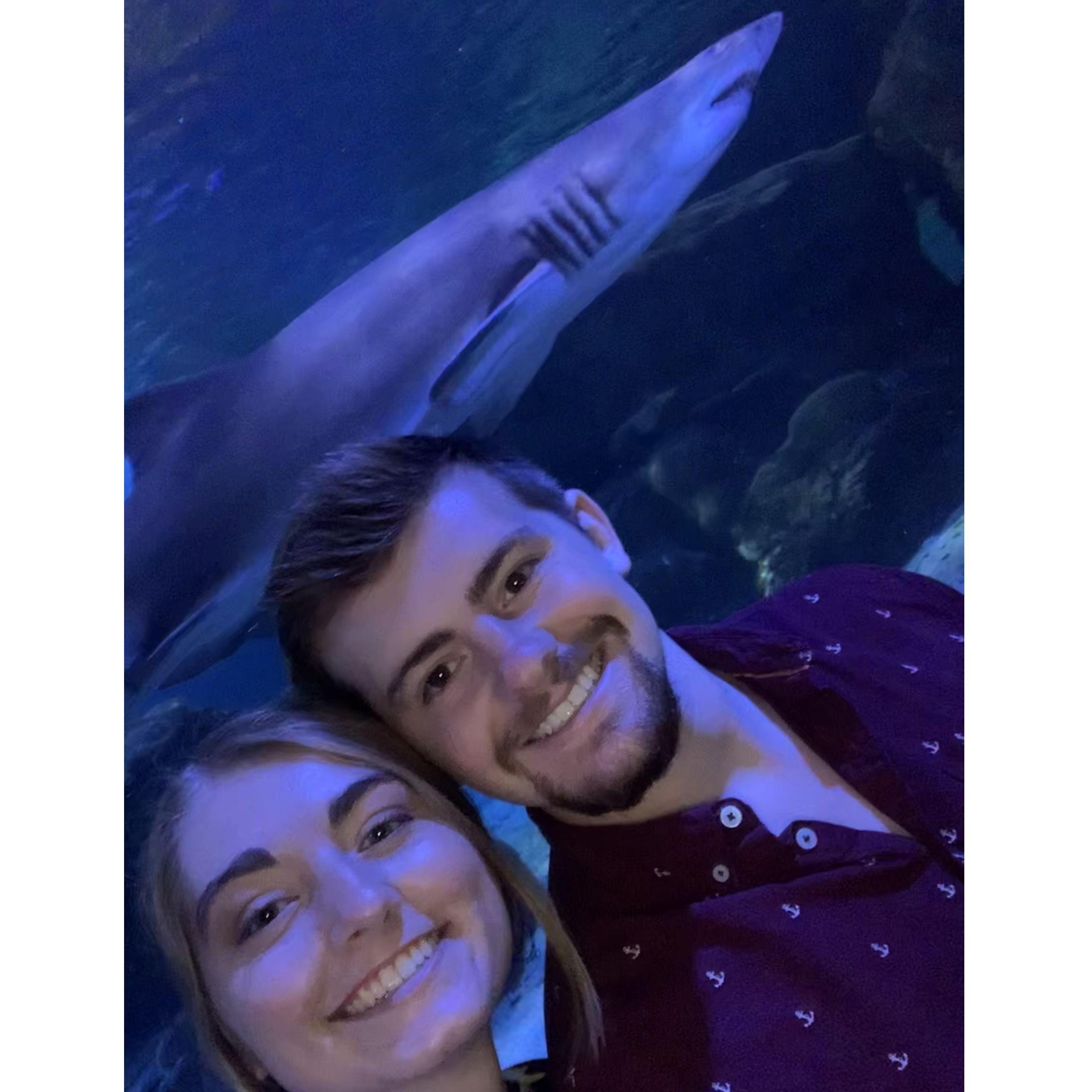 One of our first dates at Sea Life in the Mall of America.