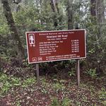 Jedediah Smith Redwoods State Park