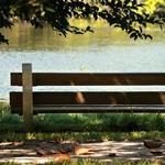 The Greenway Trail