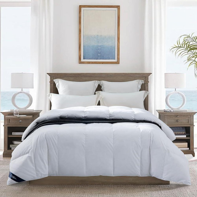Globon Ultra-Soft Lightweight Down Feather Comforter King Size,Breathable Light Duvet Insert for Hot Sleeper/Warm Weather,Noiseless Shell,700 Fill Power with Corner Tabs,White